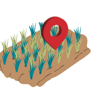 Land Mapping